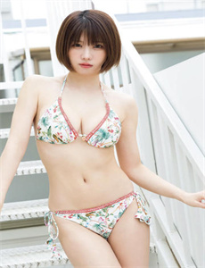 野狗
